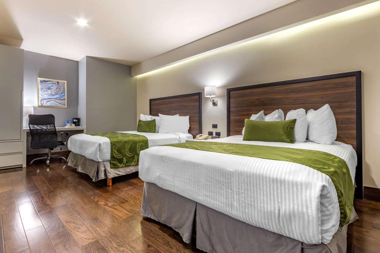 Quality Inn Chihuahua San Francisco Екстер'єр фото
