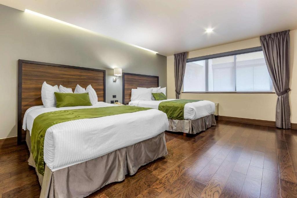 Quality Inn Chihuahua San Francisco Номер фото